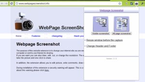 webpage-screenshot-500x284
